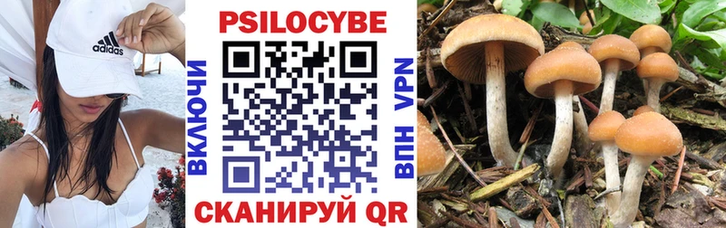 Галлюциногенные грибы Cubensis  kraken сайт  Шлиссельбург 